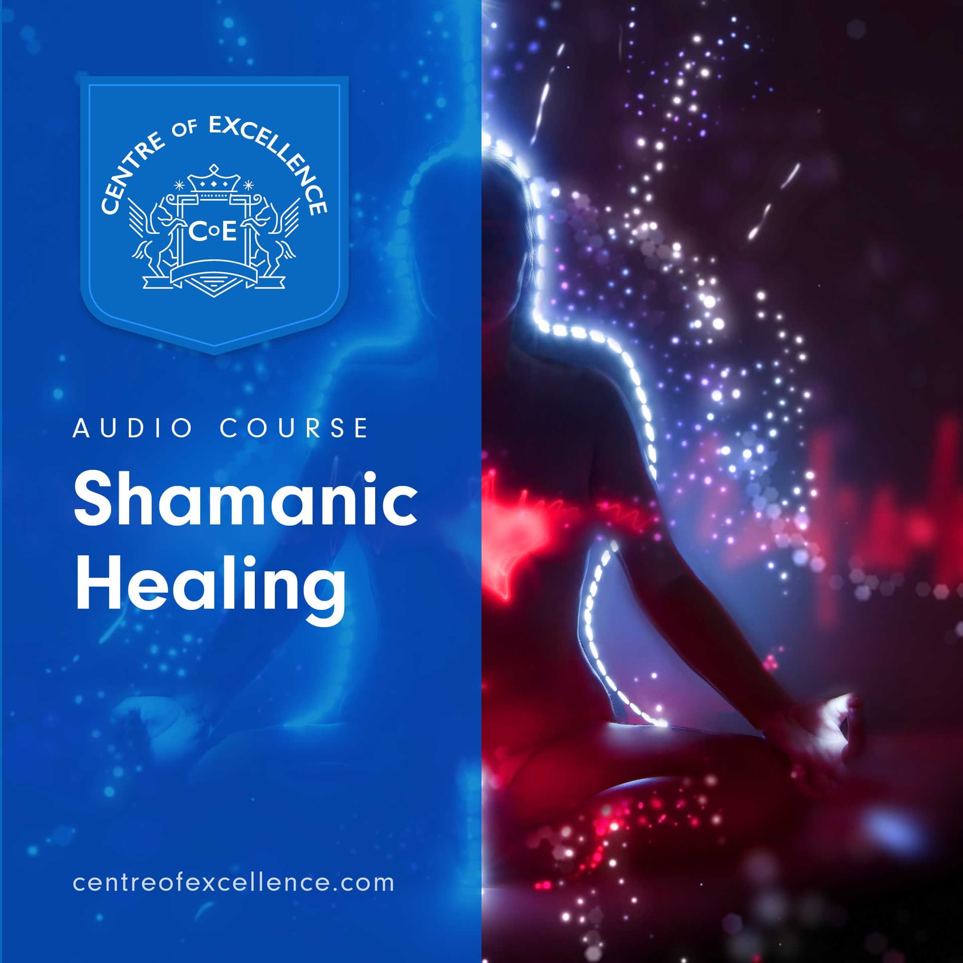 Image of Shamanic Healing Audio Course