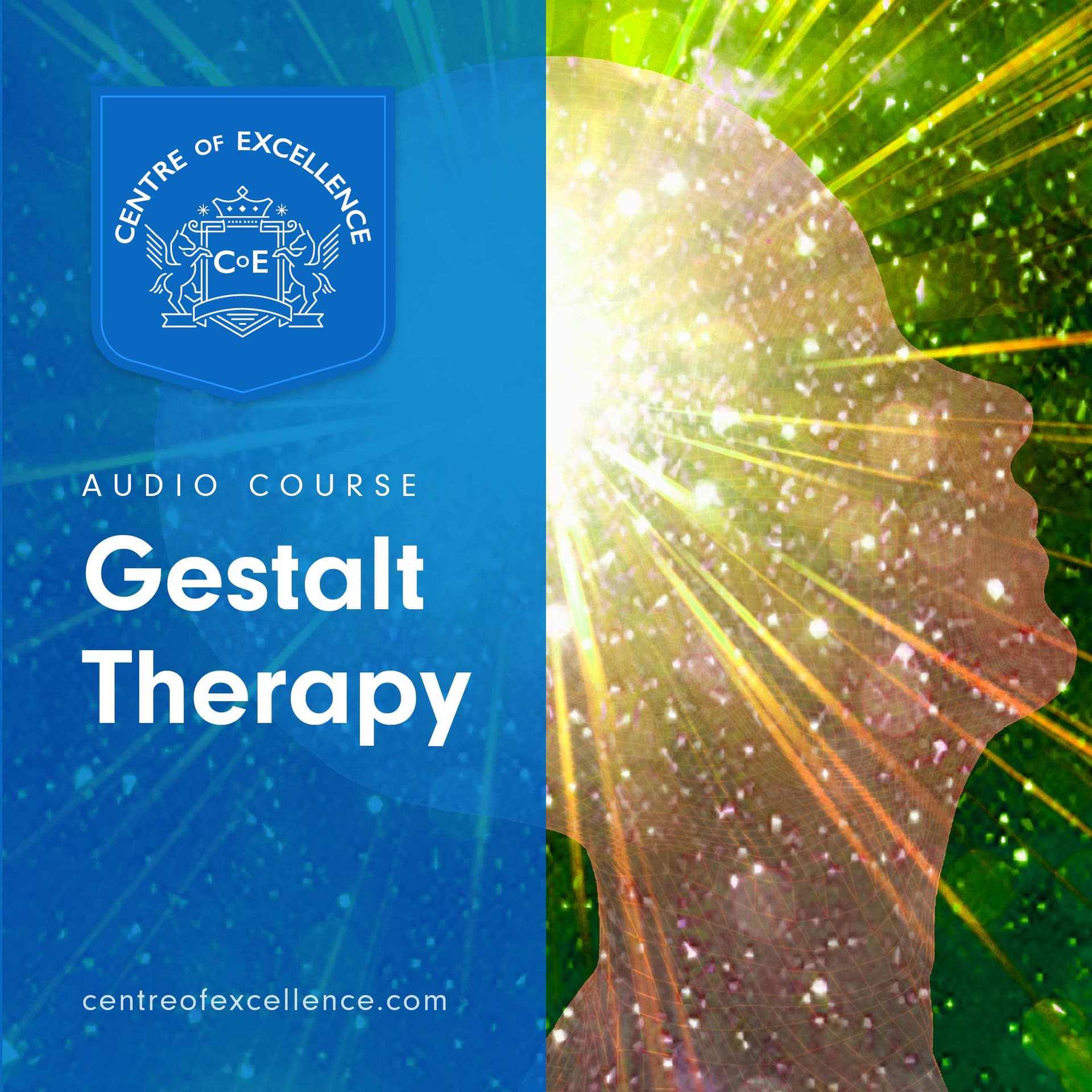 Image of Gestalt Therapy Audio Course