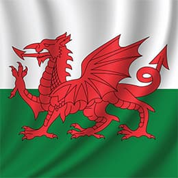 Image of Welsh for Beginners Diploma Course