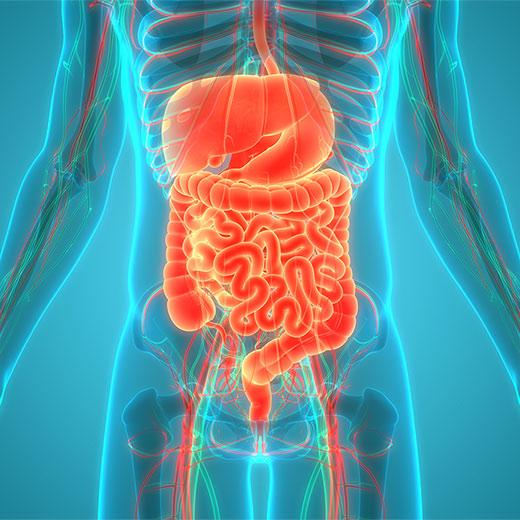 Image of Gastroenterology