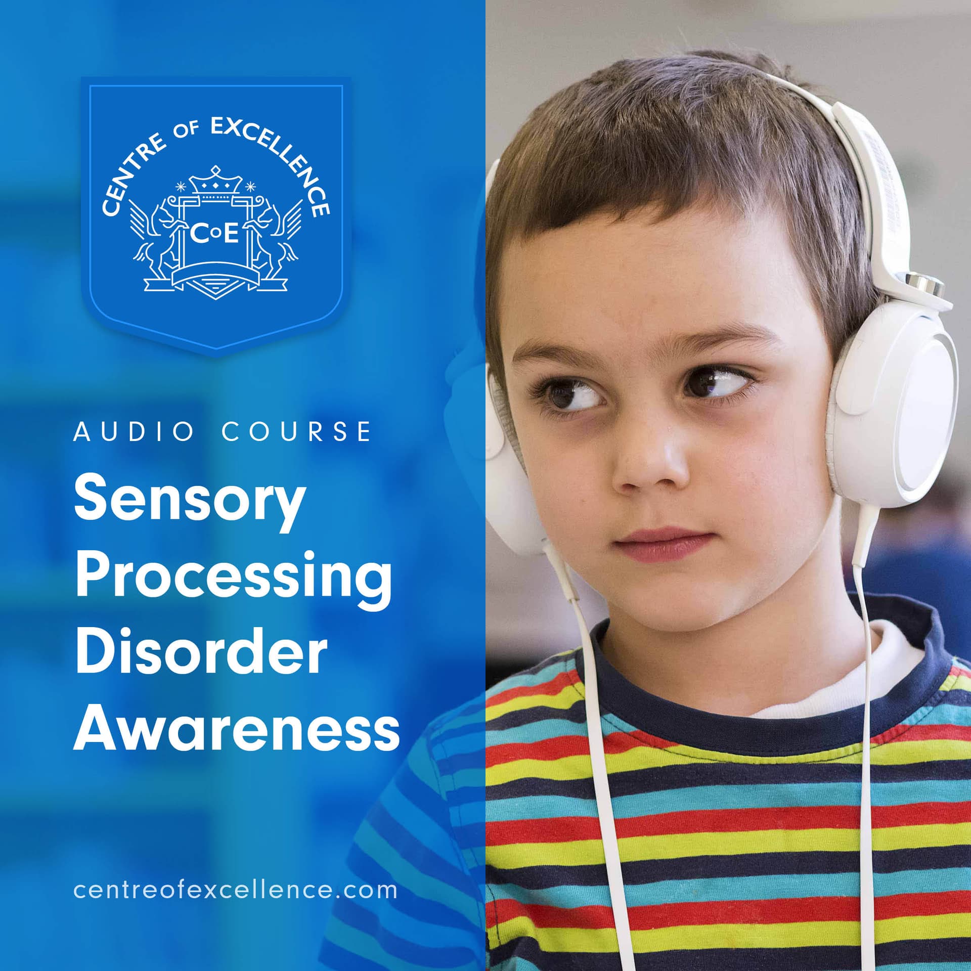 Image of Sensory Processing Disorder Awareness Audio Course