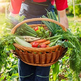 Image of Homesteading Diploma Course