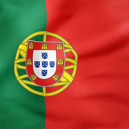 Image of Portuguese for Beginners