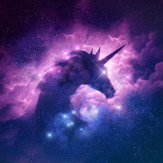 Image of Unicorns and Unicorn Energy Diploma Course