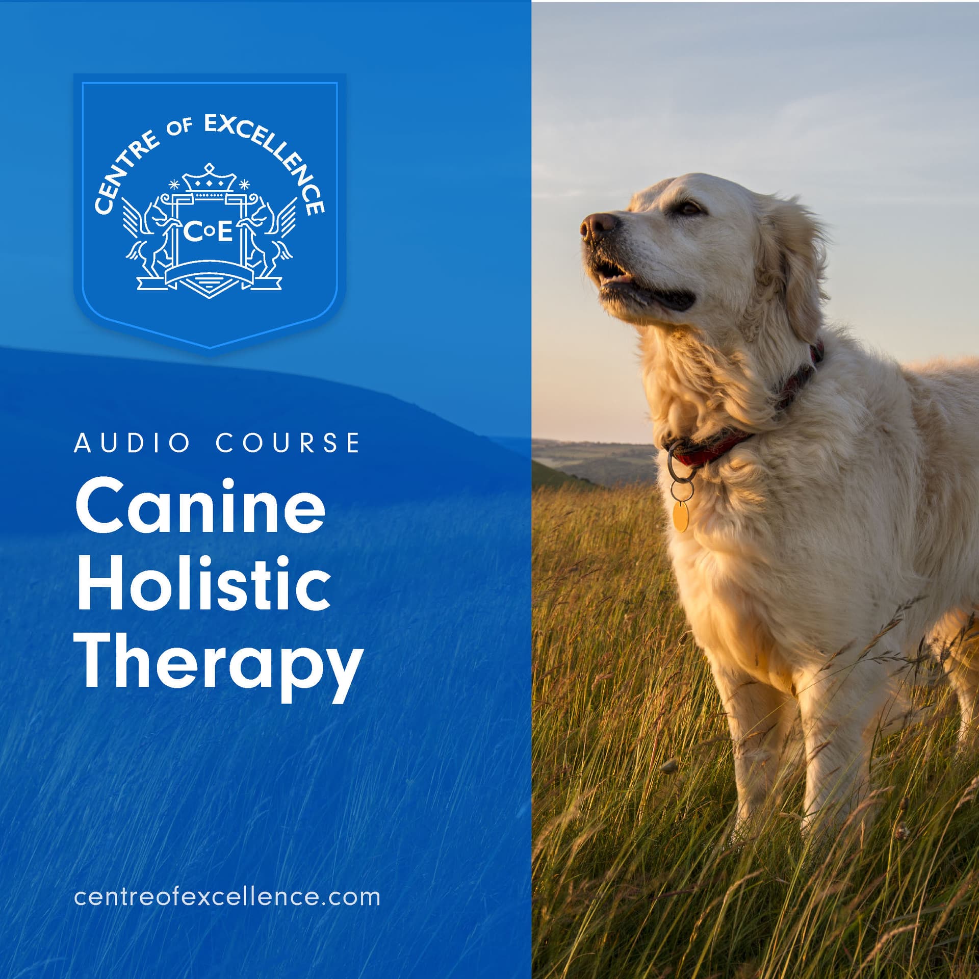 Image of Canine Holistic Therapy Audio Course