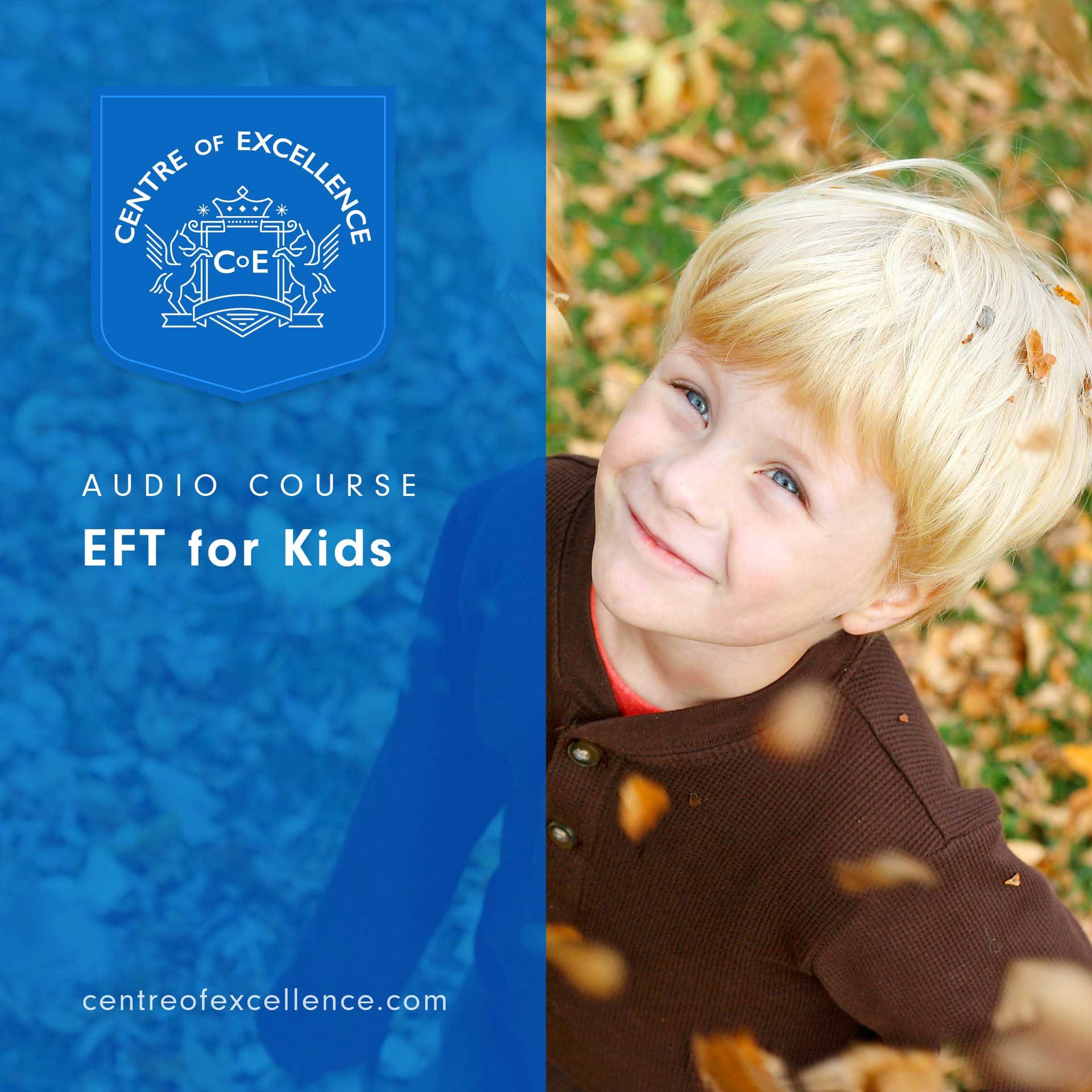 Image of EFT for Kids Audio Course