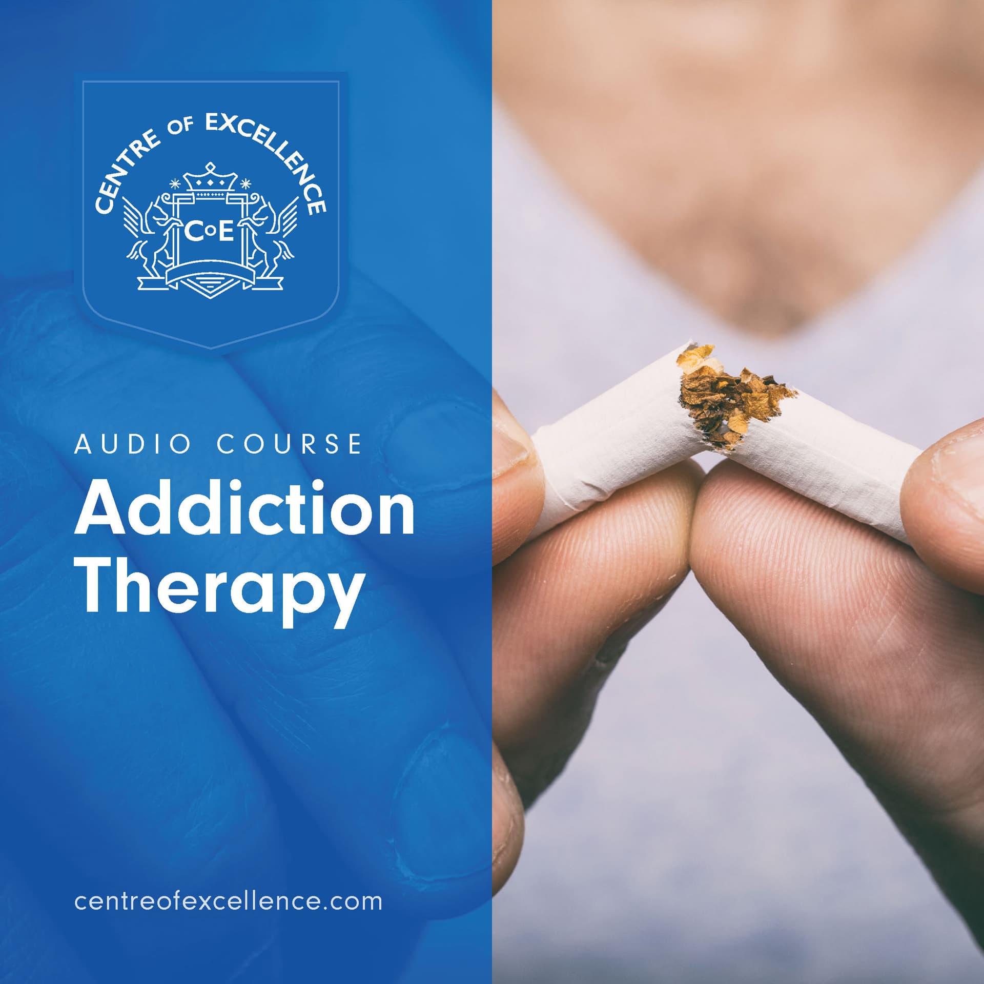 Image of Addiction Therapy Audio Course