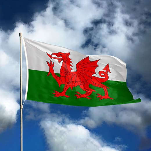 Image of Intermediate Welsh Diploma Course