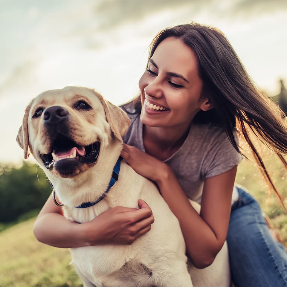 Image of Canine First Aid Diploma Course