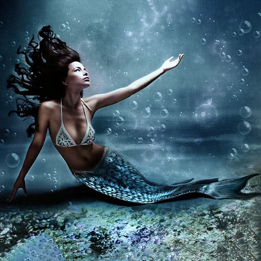 Image of Mermaids and Mermaid Energy Diploma Course