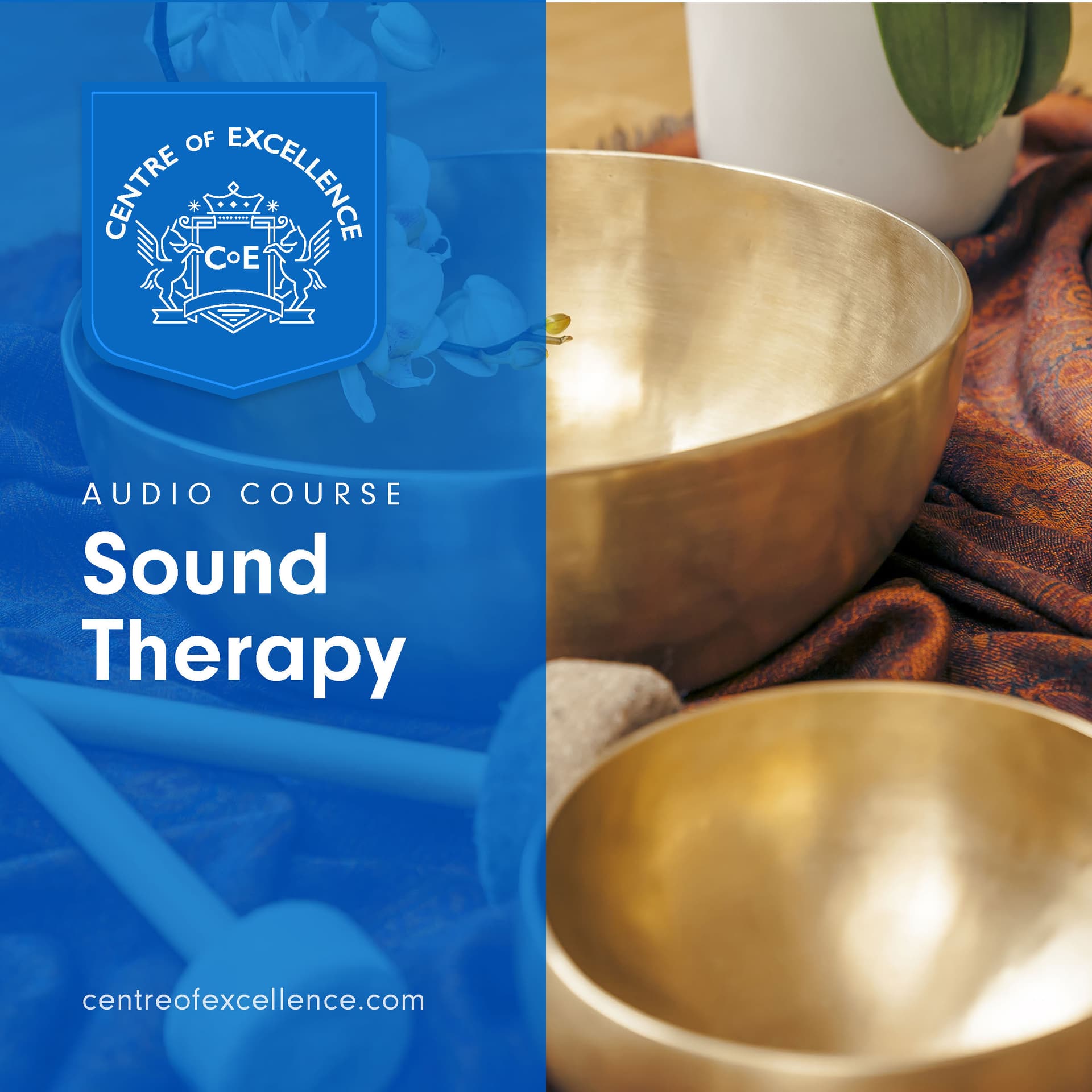 Image of Sound Therapy Audio Course