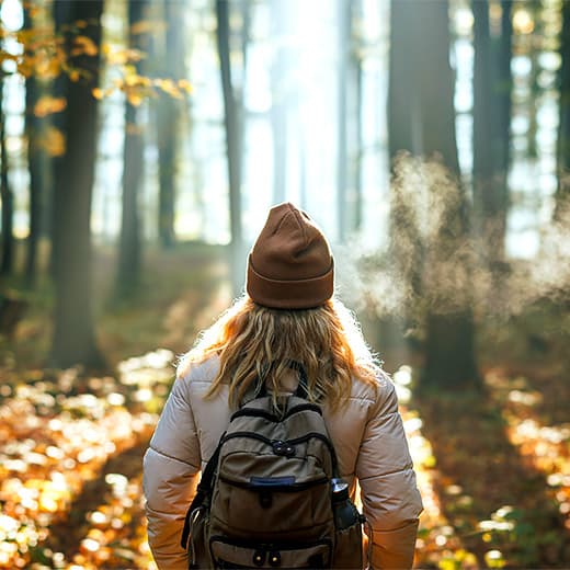 Image of Shinrin Yoku – Forest Bathing Diploma Course