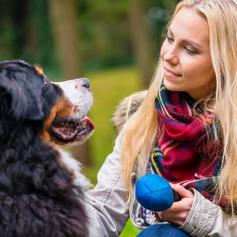 Canine Behaviour Training Thumbnail