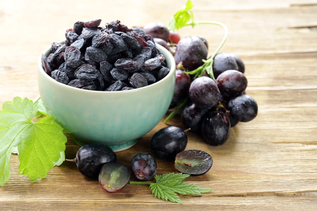 30 Foods to Never Give Your Dog – And Why! Thumbnail