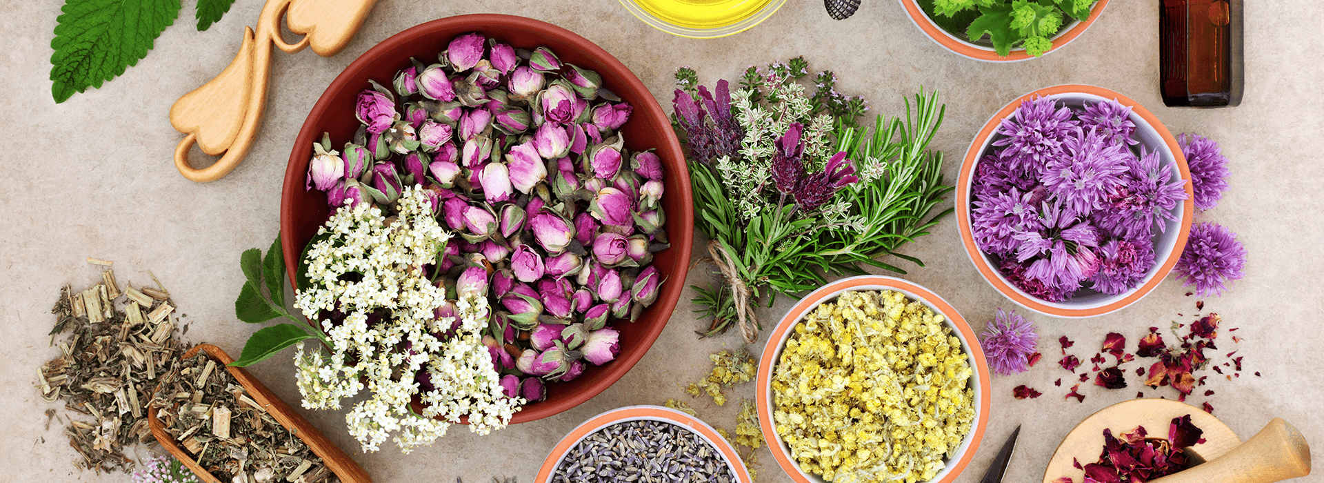 Showcase Aromatherapy Courses