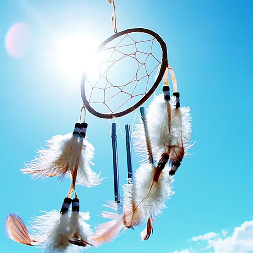 Shamanic Healing/Energy Healing Diploma Course - Centre of Excellence