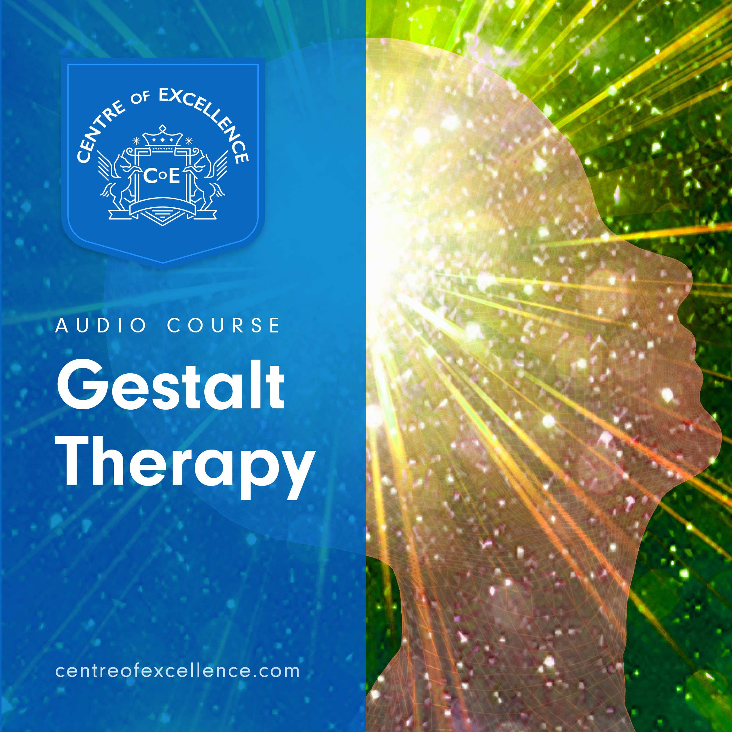 Gestalt Therapy Audio Course Centre of Excellence