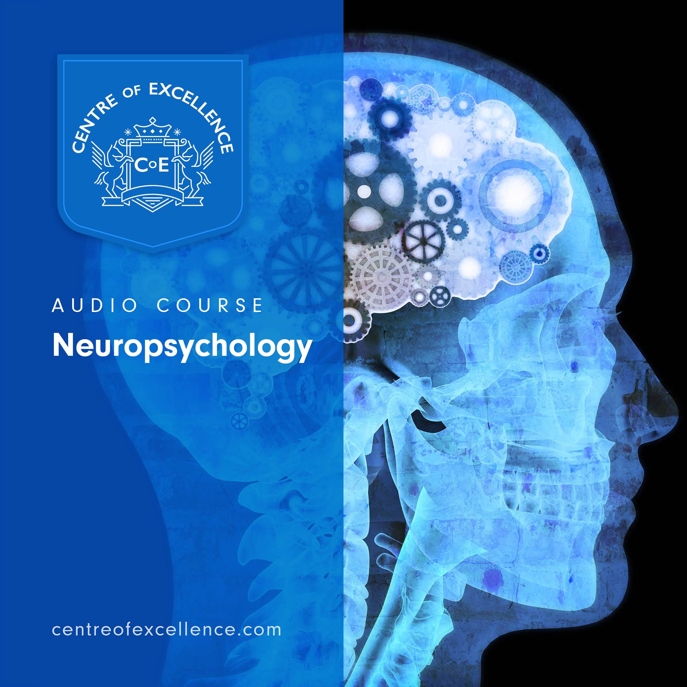 Neuropsychology Audio Course Centre of Excellence