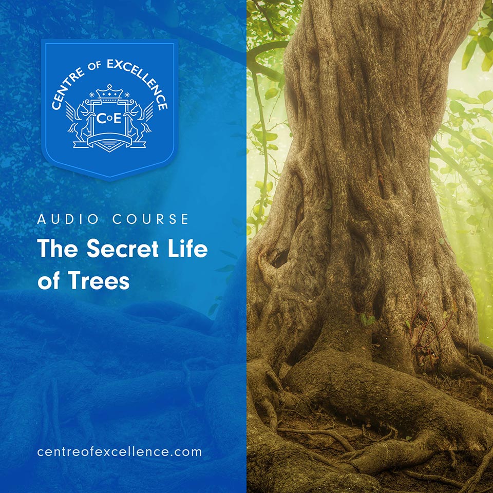 The Secret Life of Trees Audio Course - Centre of Excellence