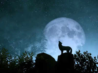 What is the Spiritual Meaning of a Wolf?