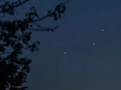 A Guide to the Pictor Constellation and its Stars