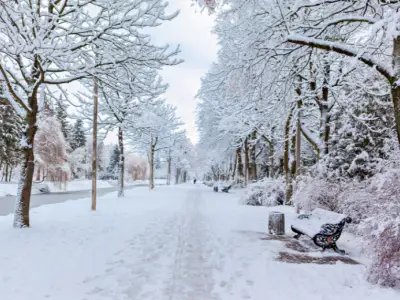 What Does it Mean When You Dream About Snow?