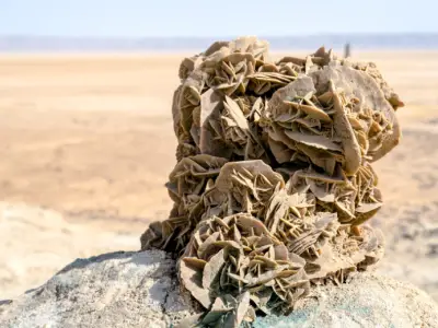 Desert Rose Crystal: Properties, Uses and Crystal Healing