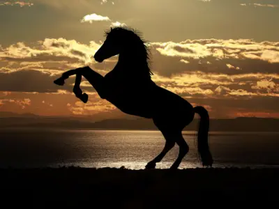 Horse Symbolism: What is the Spiritual Meaning of a Horse?