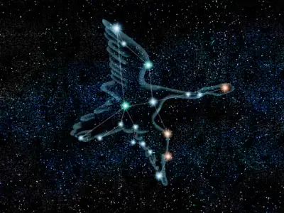 A Guide to the Cygnus Constellation and Stars