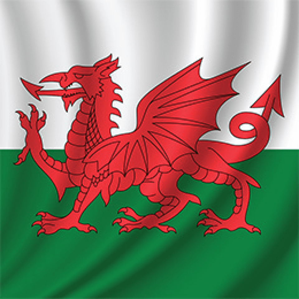 Welsh for Beginners Diploma Course - Centre Of Excellence