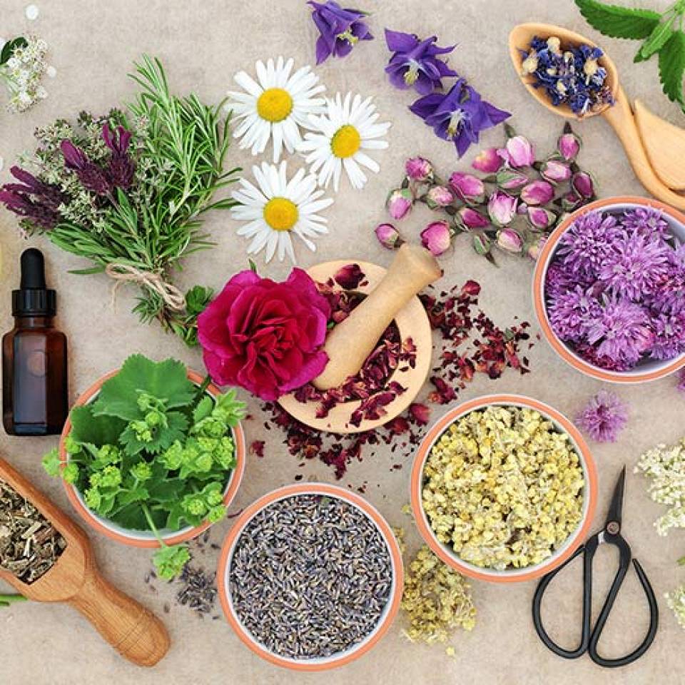 Essential Oils Business Diploma Course - Centre of Excellence