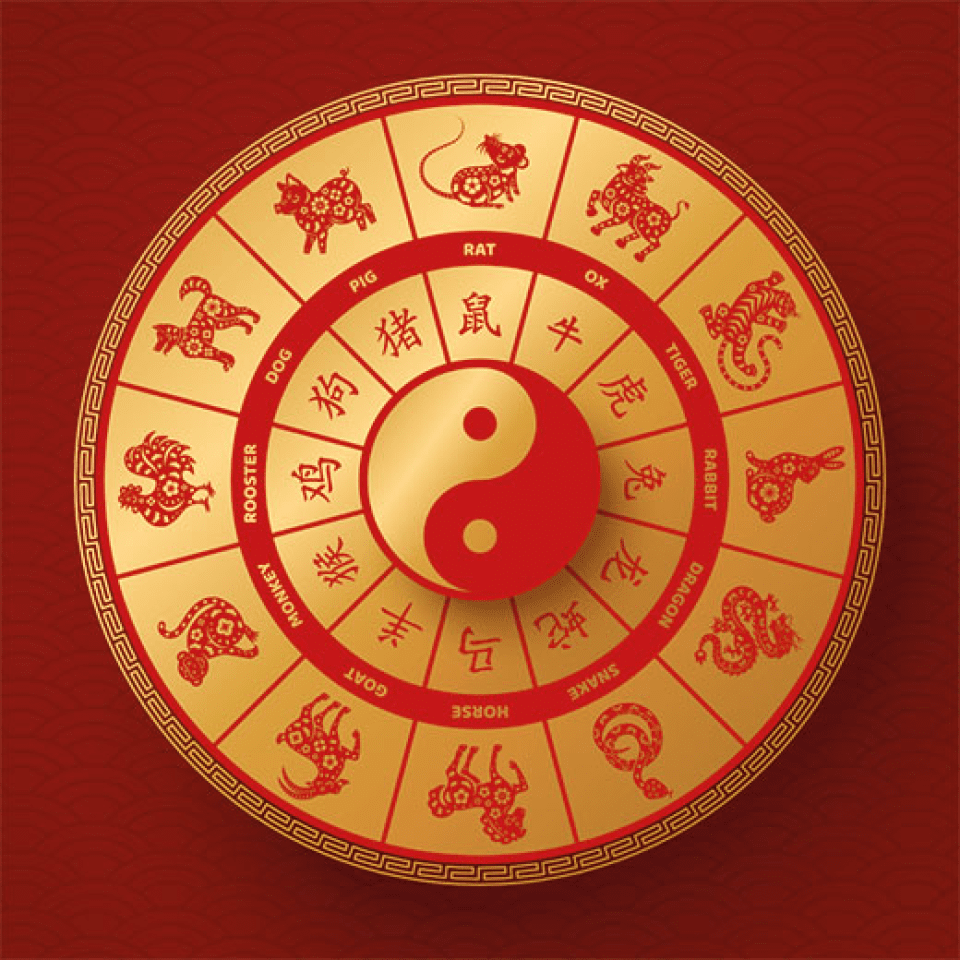 Chinese Astrology & Zodiac Signs | Accredited Online Diploma