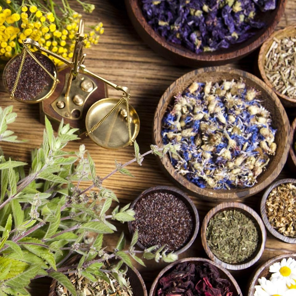 Advanced Herbalism Diploma Course | Beyond Master Herbalism - Centre Of ...