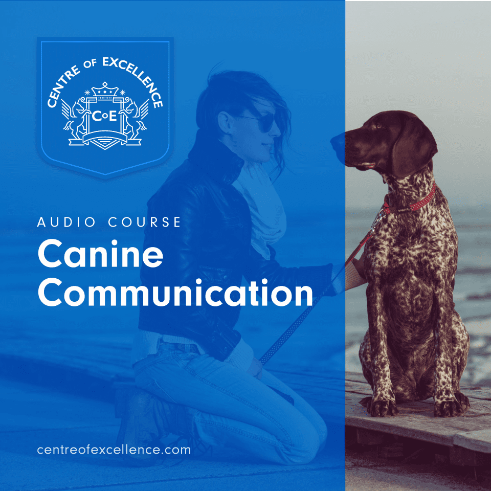 Canine Communication Audio Course - Centre Of Excellence