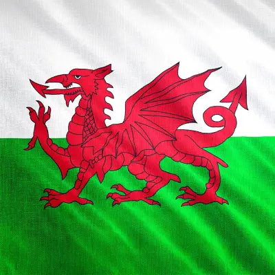Welsh History Diploma Course