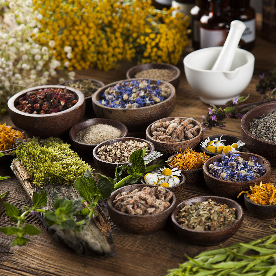 Herbal Compendium Diploma Course - Centre Of Excellence