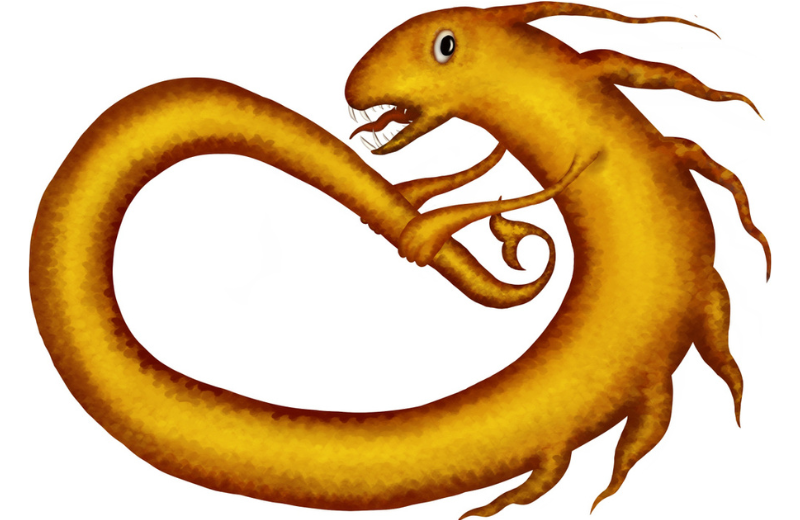 The Serpent Jörmungandr