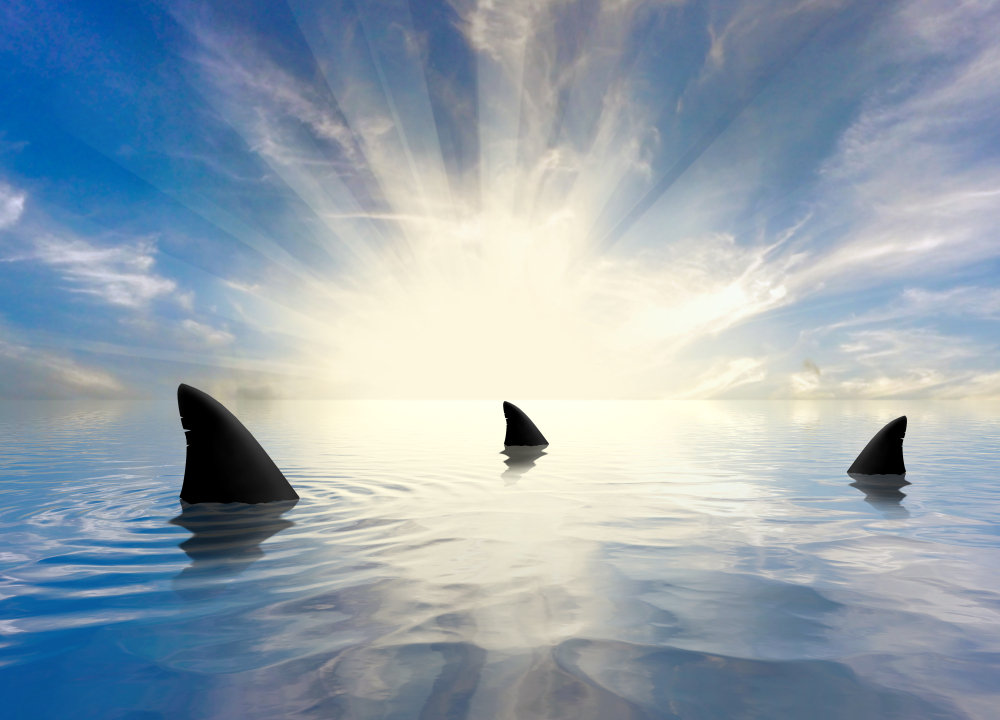 Common Shark Dreams and Their Meanings