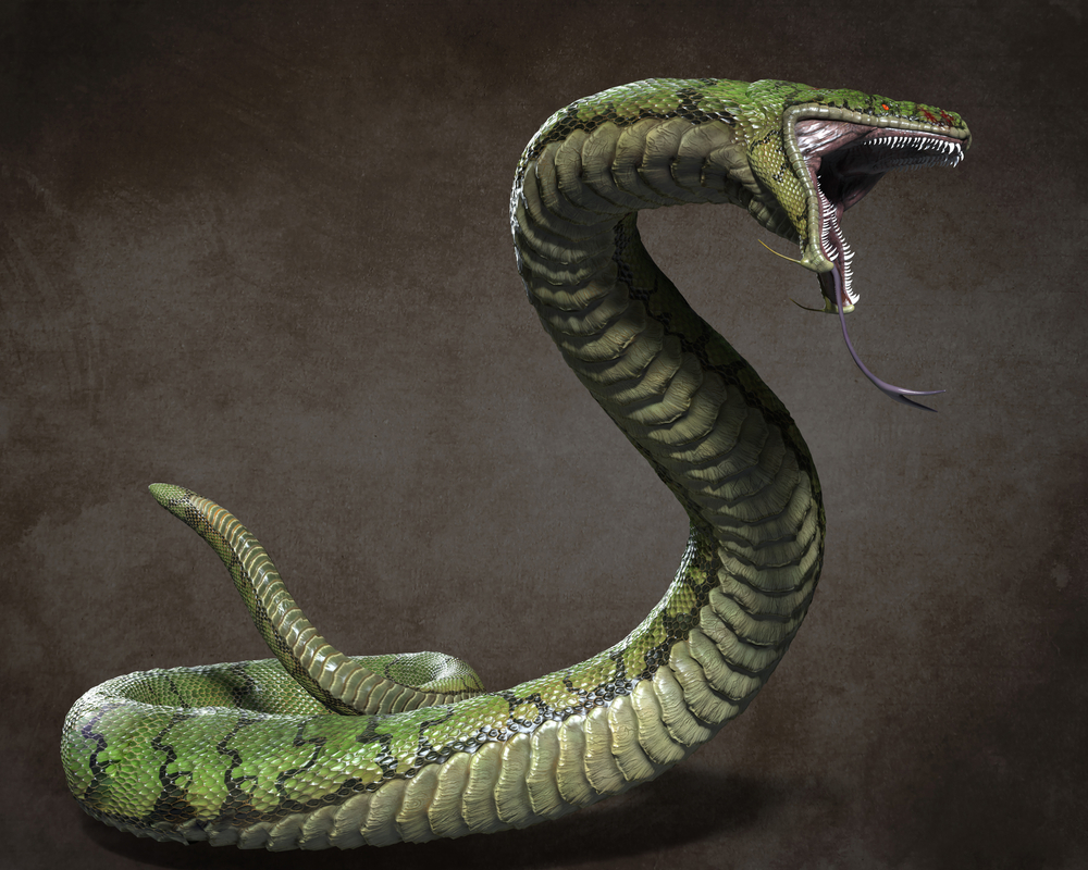 The Gwiber – The Deadly Welsh Serpent