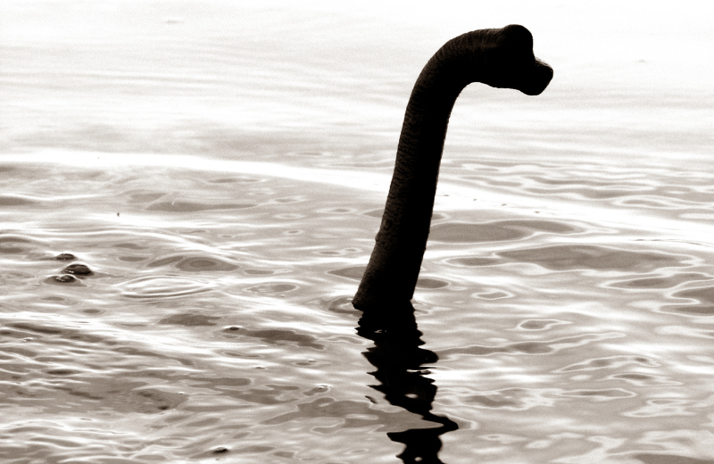 The Loch Ness Monster (Nessie)