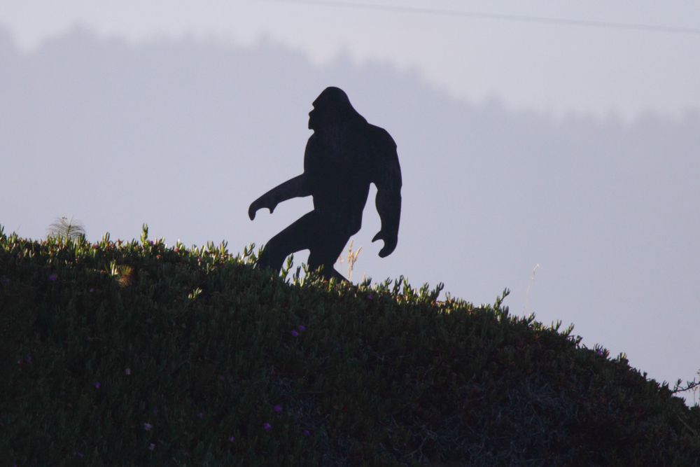 Bigfoot (Sasquatch)