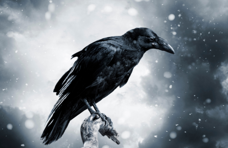 The Corvus Constellation Myth