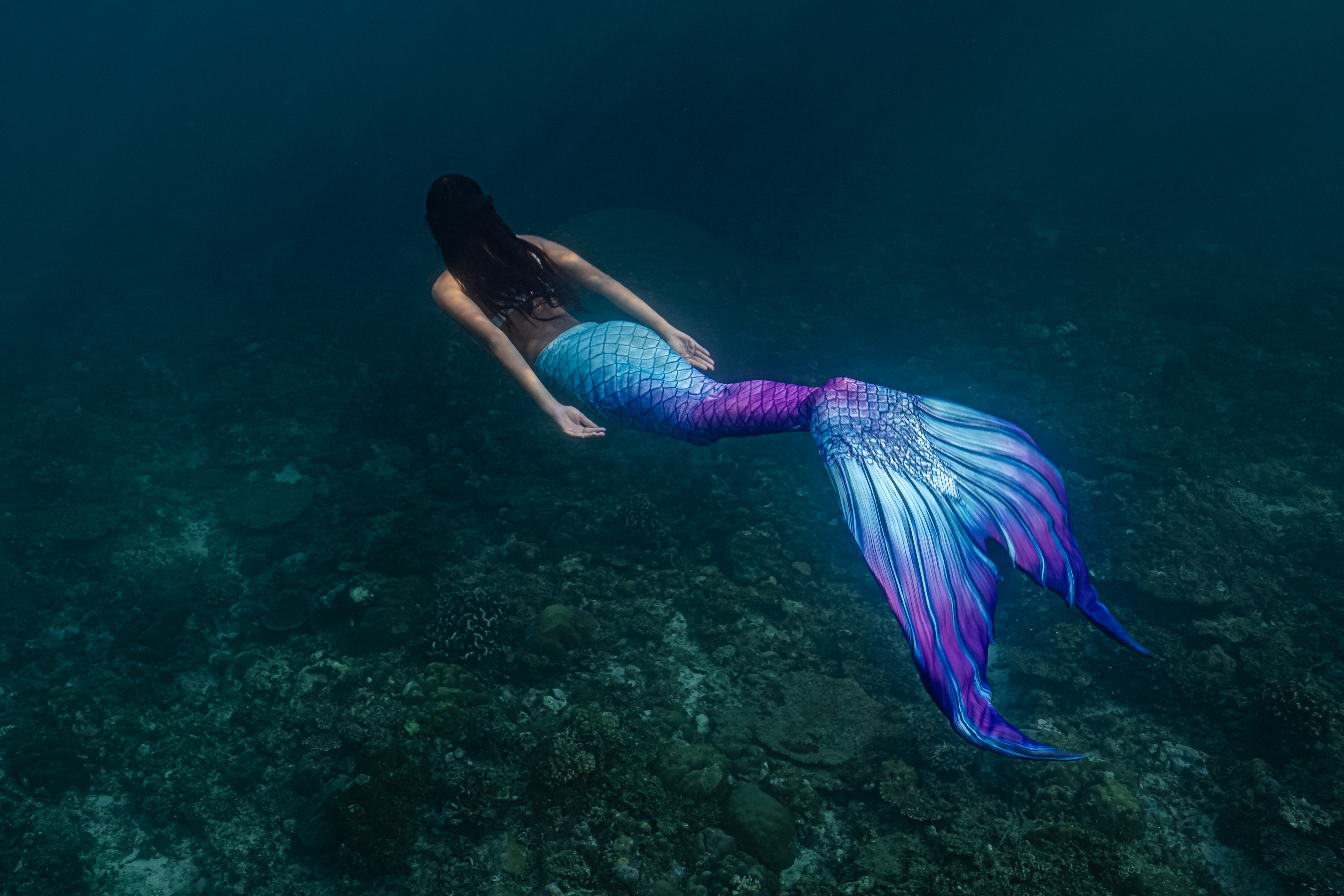 An image of a blue and purple mermaid in the sea