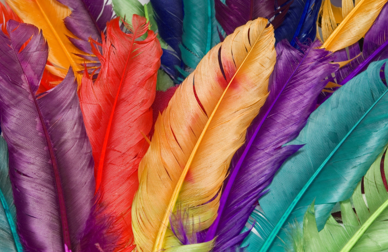 Feather Colours and Their Spiritual Meanings